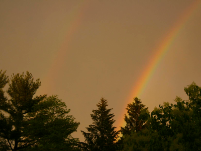 Doulble rainbow- www.PollyCastor.com