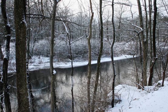 River bank with snow-PollyCastor.com