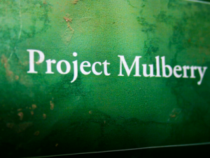 Book Review: Project Mulberry