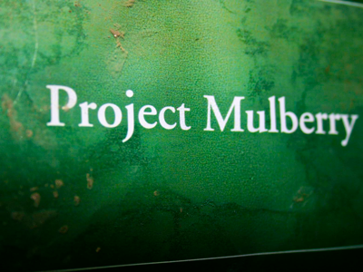 project mulberry by Linda Sue Park