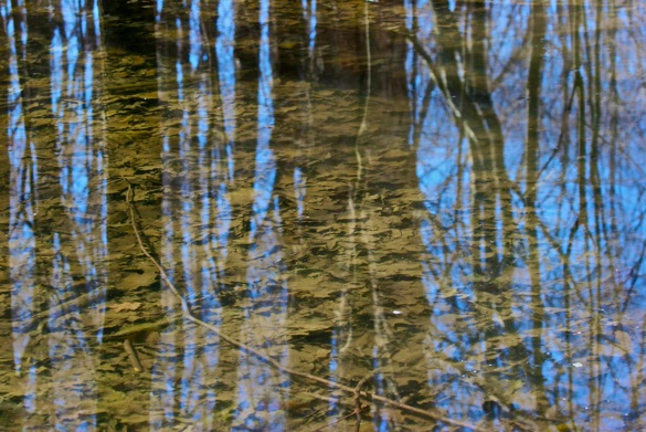 Polly Castor Photography: Reflections