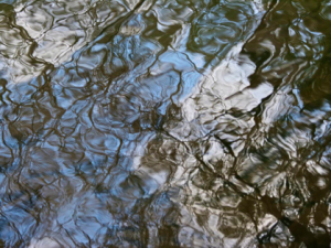 Photos of Close-up March Reflections