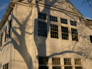 Photos of Our New Library