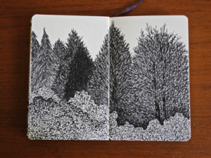 Doodles Mostly in Church