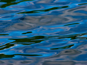 Proud of my Town for Voting No