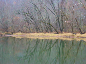 Photos of Wet November by the River