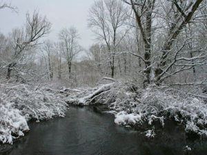 Photos of Fresh Snow by the River