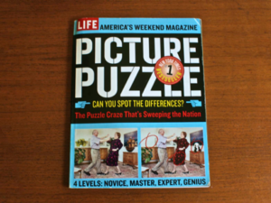 Book Review: Picture Puzzle