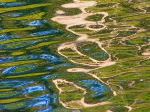 New Poem: Floating Down the River