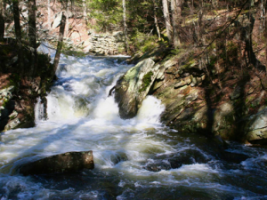 Photos of Local Waterfalls