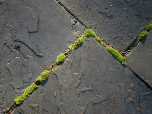 A God I Can Believe In