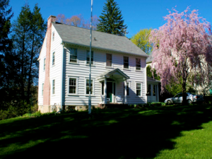 Photos of Our Weeping Cherry Tree