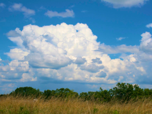 Beautiful Clouds