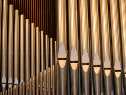 Organ Pipes