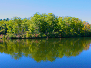 Photos from Recent Hikes