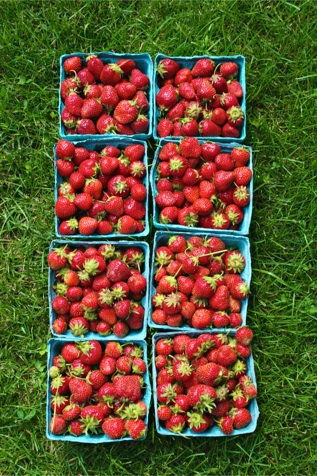 strawberries