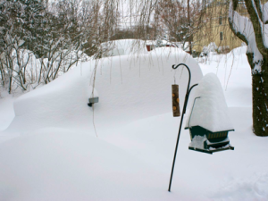 Snow, Snow and More Snow