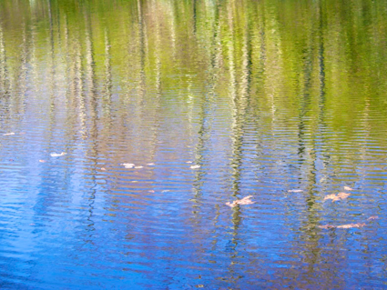Spring reflections