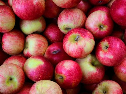 favorite apple recipes