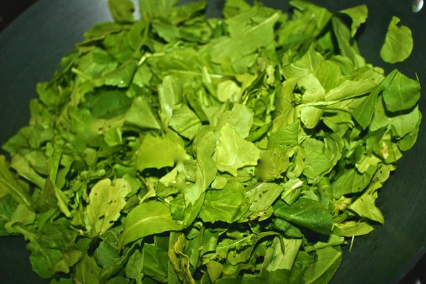 arugula