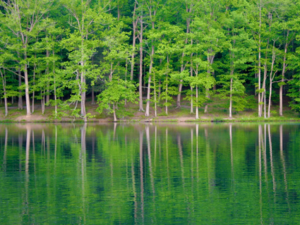 Hungry Mother State Park