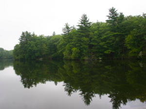 Tradition and Traditionalism