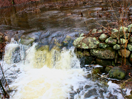 runoff form Hurricane Irene