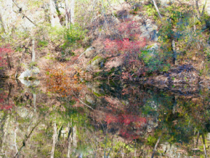 Photos of This Year’s Autumn Reflections