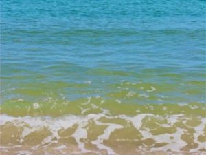 Art from Beach Plastic