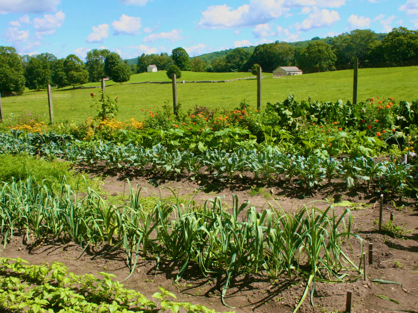 Feed the soil