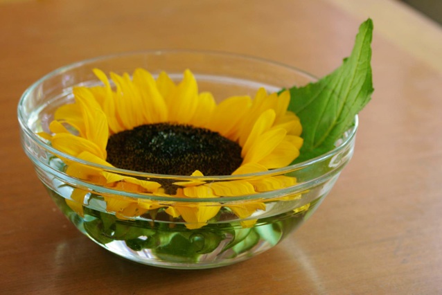 Floating sunflowers