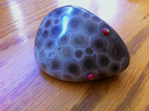 Writing Prompt: The Petoskey Stone Mouse