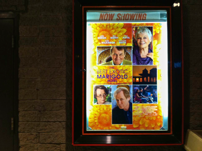 the best exotic marigold hotel