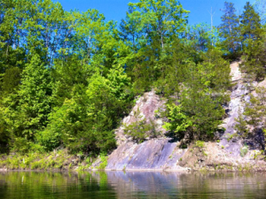 This Year’s First Swim at the Quarry
