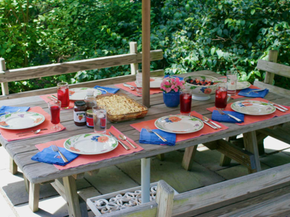 family picnic food