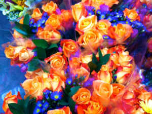 You’re the Result of Yourself (by Pablo Neruda)