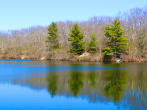Photos from a Walk at Huntington