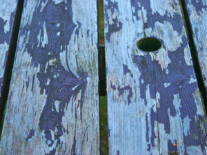 New Poem by me: That Old Picnic Table Feeling