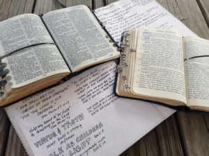 Bible Lesson Journal: Recent Pages