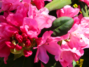 Photos from a Gorgeous Day