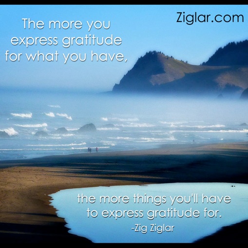 Zig Ziglar quote