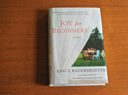 Joy for Beginners, Joy for Beginners book