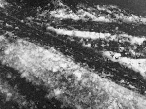 Photos of Today’s Unremarkable Snow