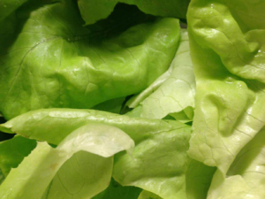 Poem by Jill Gooding: Losing Weight
