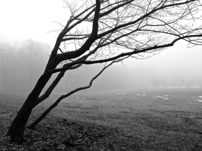 fog in black and White