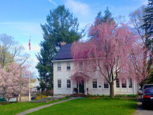 A Beautiful Day in the Neighborhood