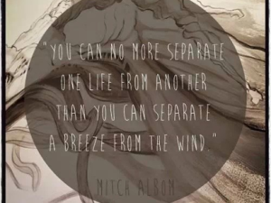 March 2014 Bits and Clips