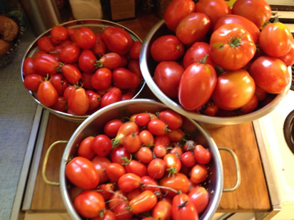 homegrown tomatoes