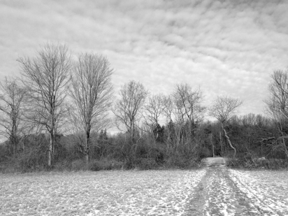 field photos, black and white photos