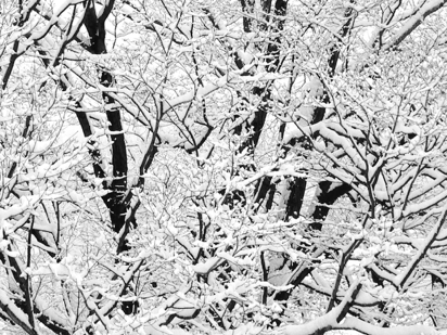 Prayer in a Blizzard